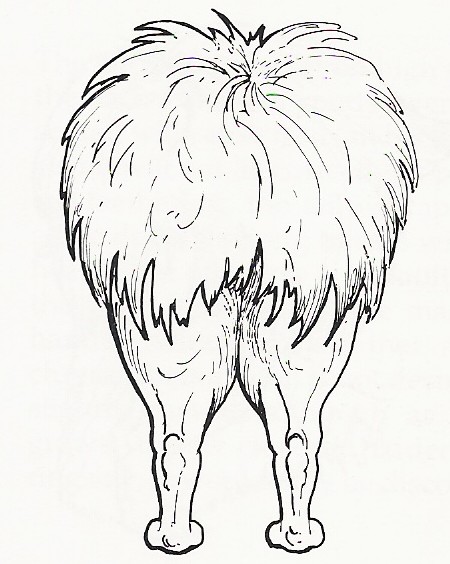 backlegs1