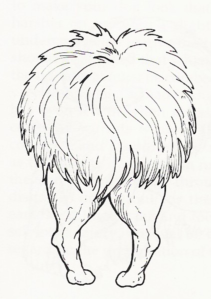 backlegs2