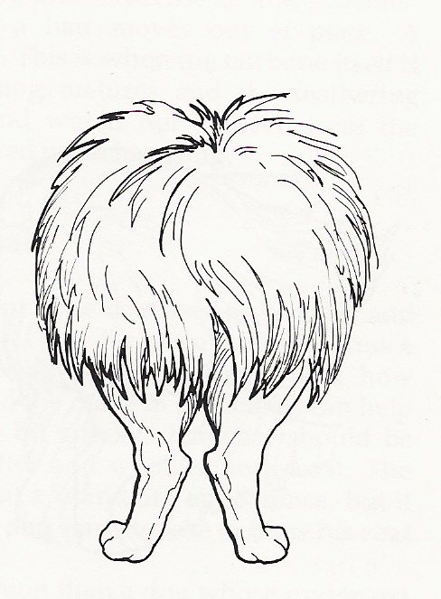 backlegs3
